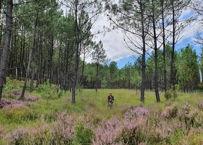 Quizas Onesse-et-Laharie